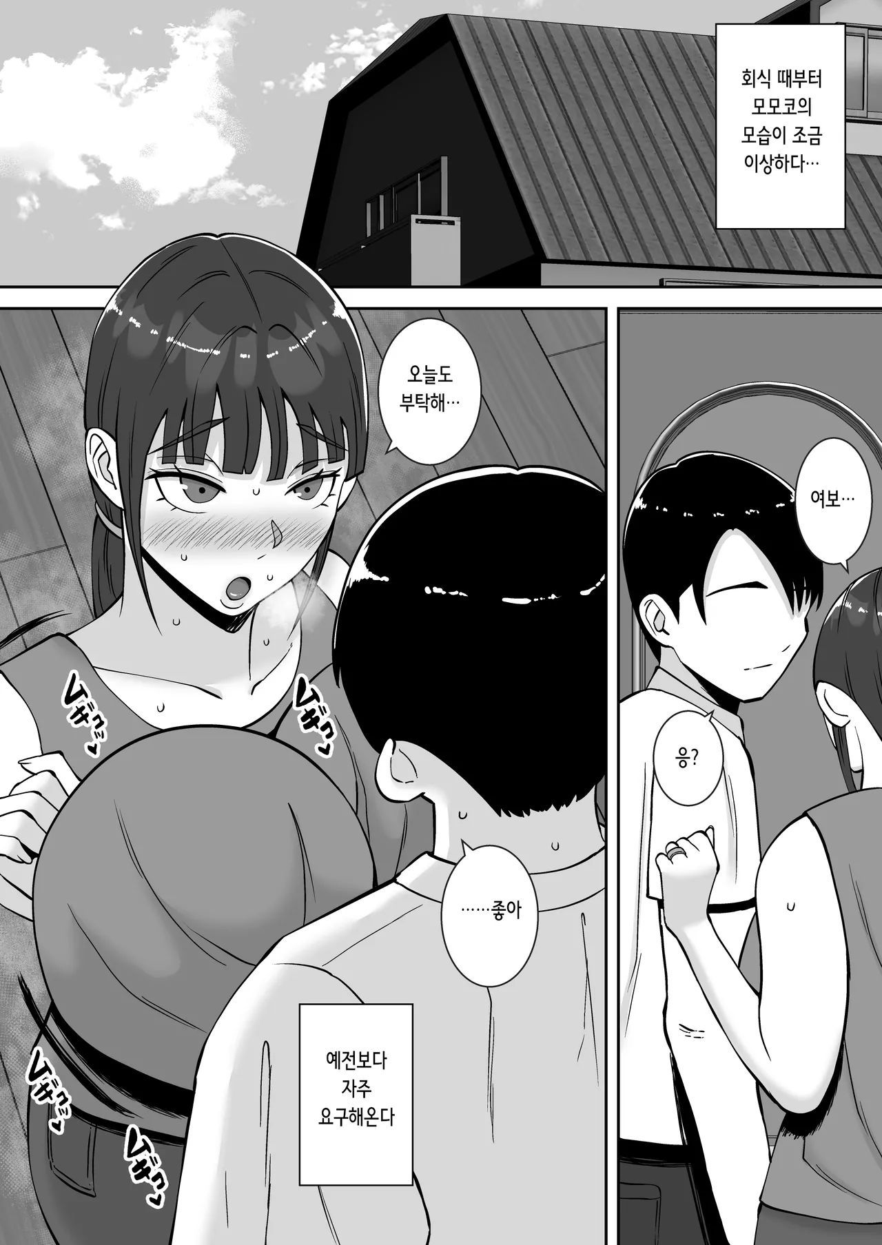 Inran Uwaki Onna o Netotte Nikubenki ni Shita Hanashi ~Seiso de Ki no Yowasou na Hahaoya Ichinose Momoko2~ | 음란 불륜녀를 빼앗아 육변기로 만든 이야기 ~청초하고 기가 약해 보이는 어머니 이치노세 모모코 2~ page 3 full