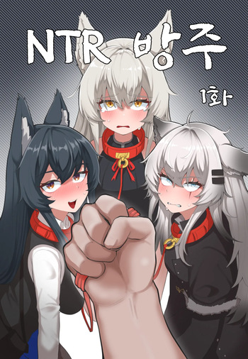 NTR 방주 cover