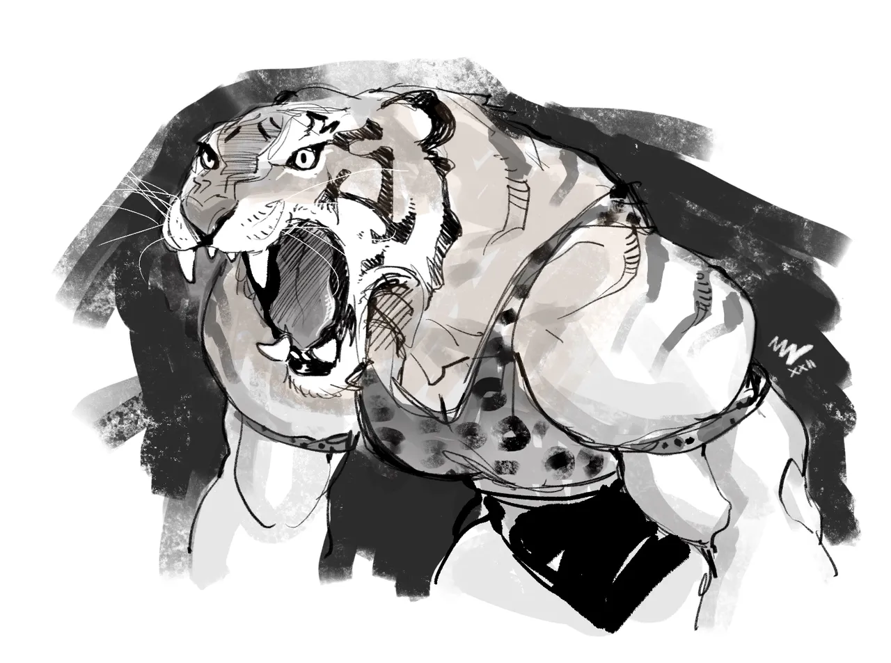 Artist archive: Vashperado page 3 full