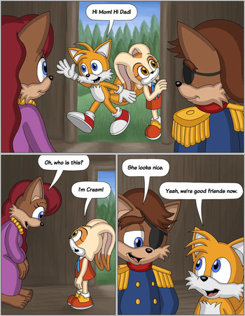 Meeting the Family cover