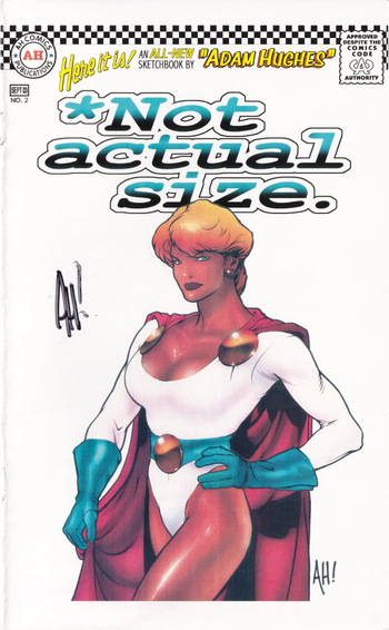 *Not actual size cover
