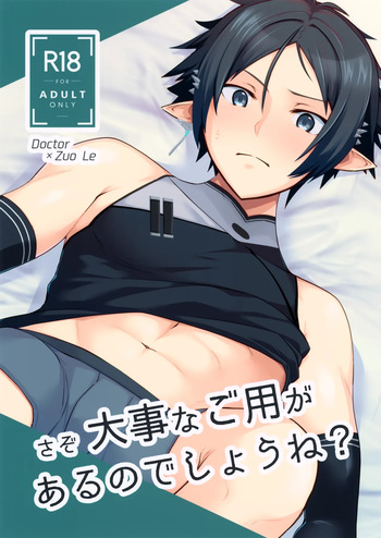 Sazo Daiji na Goyou ga Aru no Deshou ne? cover