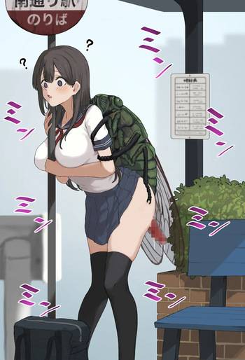 XXminzemi cover