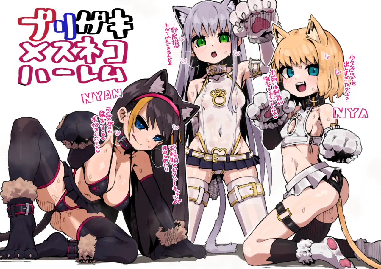 ブリガキメスネコハーレム page 1 full