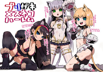 ブリガキメスネコハーレム cover