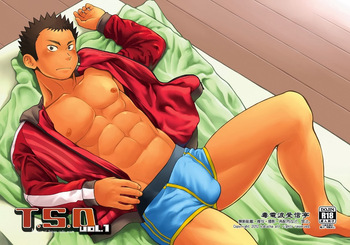 T.S.D. vol. 1 cover