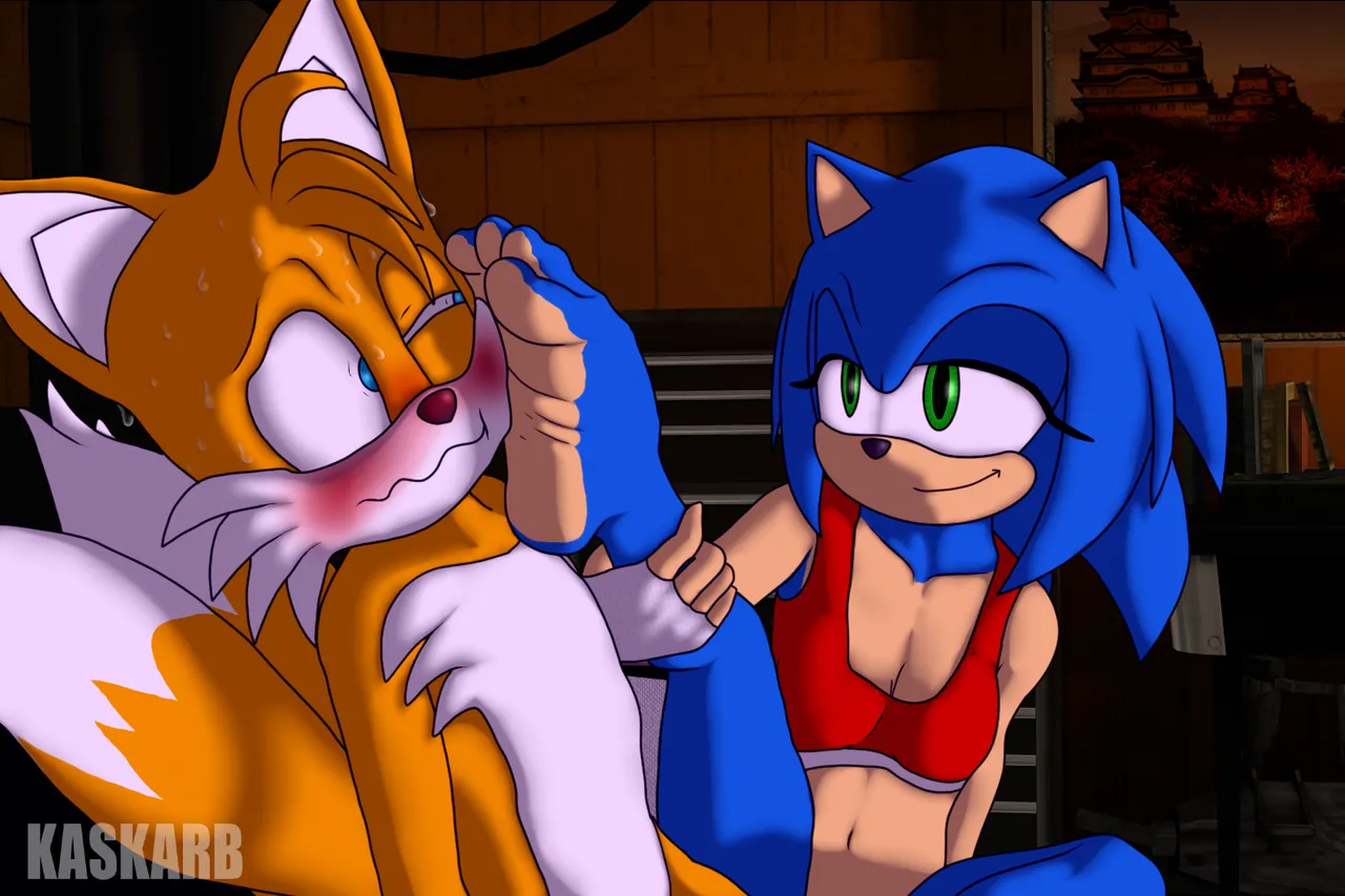 Tails x Female Sonic page 4 full