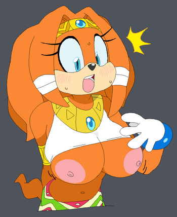 Tikal the Echidna cover