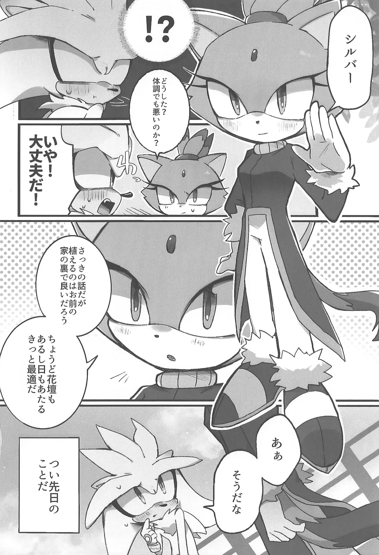 Silver ga Hidoi Me ni Au dake no Hon. page 6 full