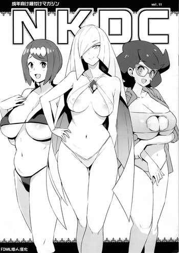 NKDC Vol. 11 cover