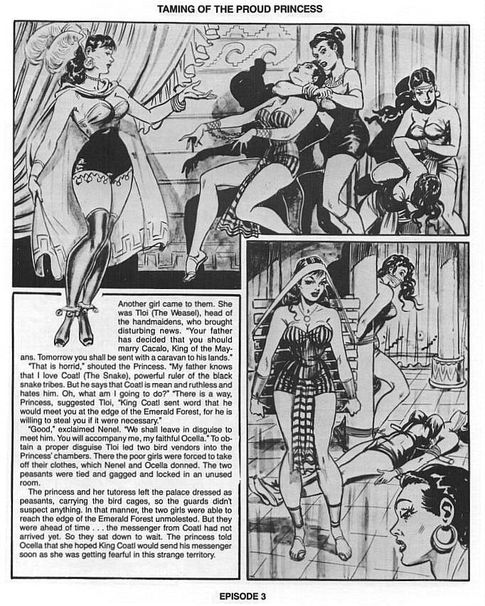 Adolfo Ruiz - Taming the Proud Princess page 4 full