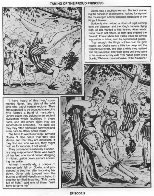 Adolfo Ruiz - Taming the Proud Princess page 6 full