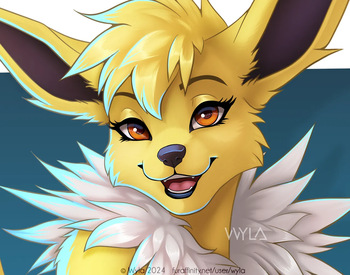 Furry cover