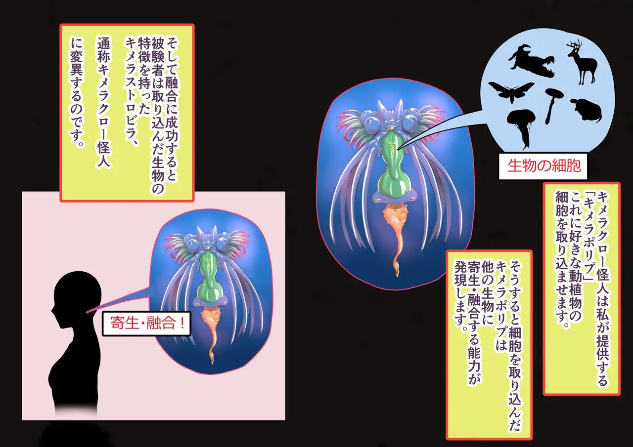 Hanīsafaringu 2 ~ kimera no himitsu aratana keikaku page 8 full