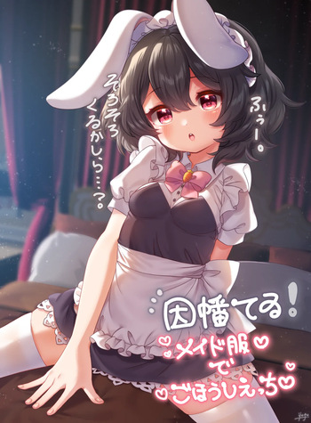 Maid Tewi-chan cover