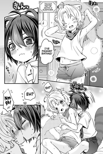 Araiguma to Ferret no Otokonoko-tachi no Manga | Ferret and raccoon boys manga cover