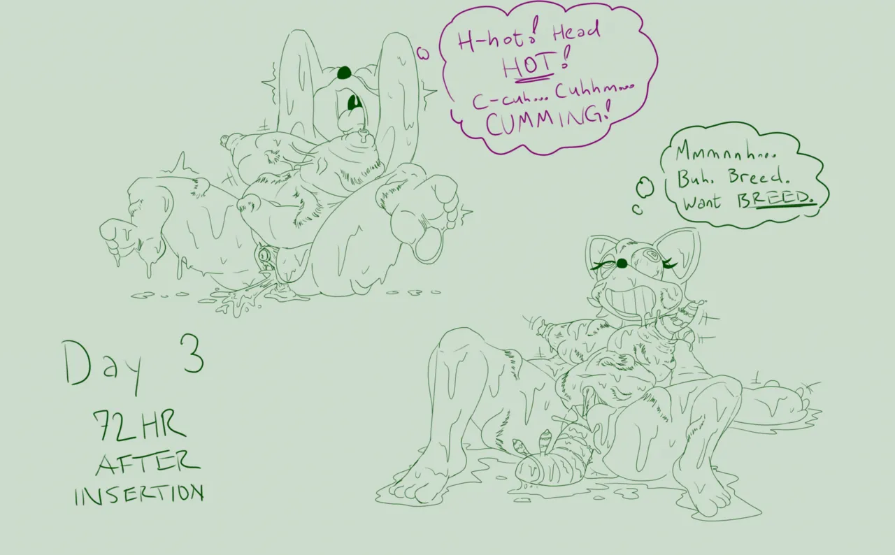 Ludico Case + Extra page 3 full