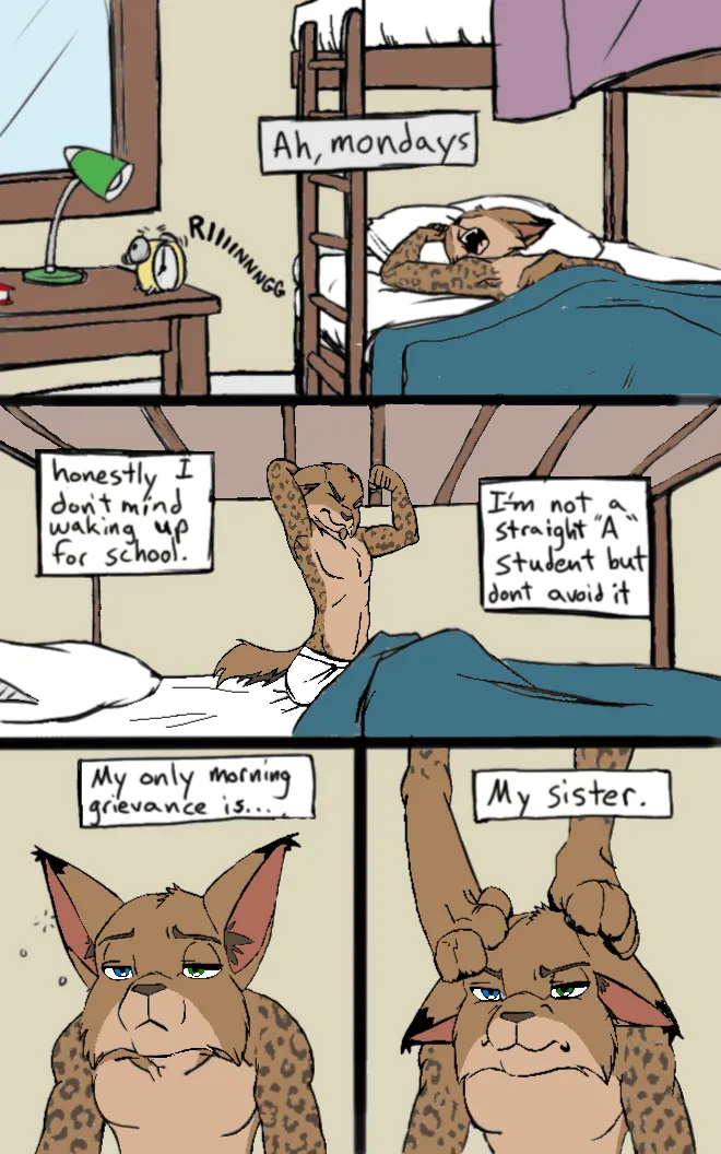 black kitten - Mornings -color page 1 full