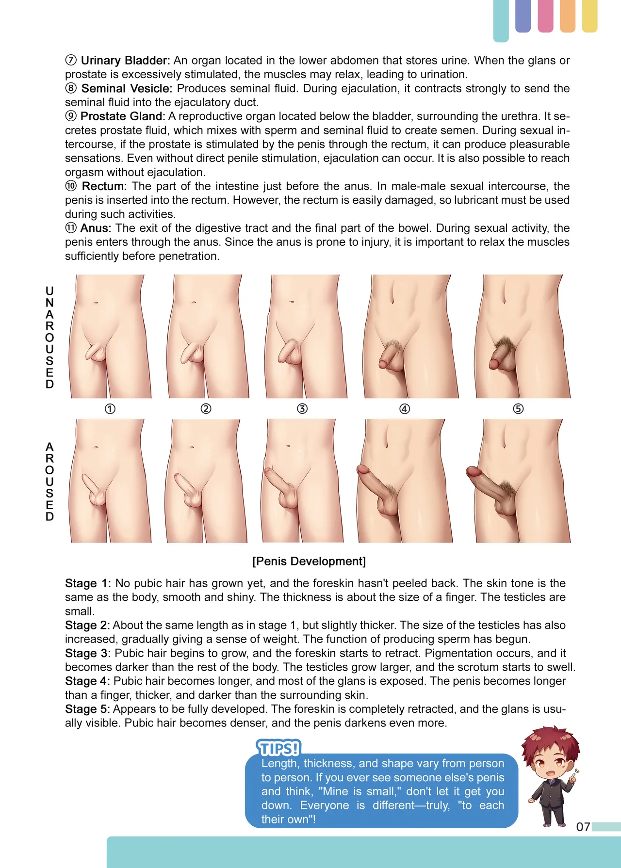 Erotic Sex Education For Boys page 8 full