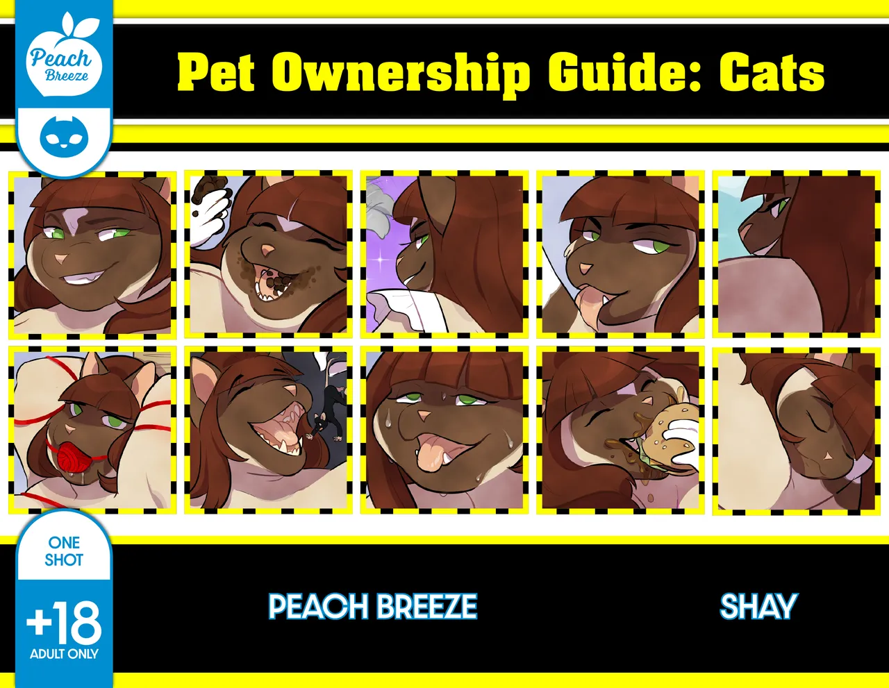 Pet Ownership Guide – Cats page 1 full