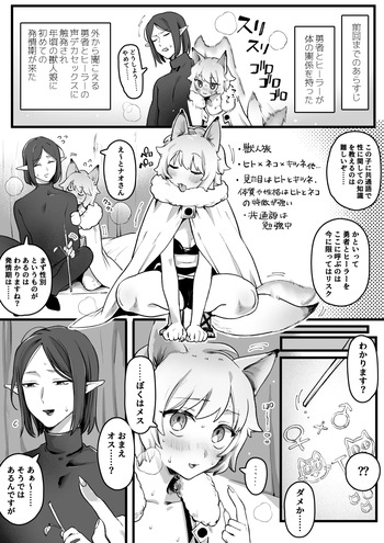 発情期が来たケモ耳娘vs受難男エルフ cover
