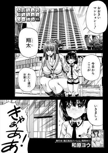 Aunt Shota Mansion Harem cover