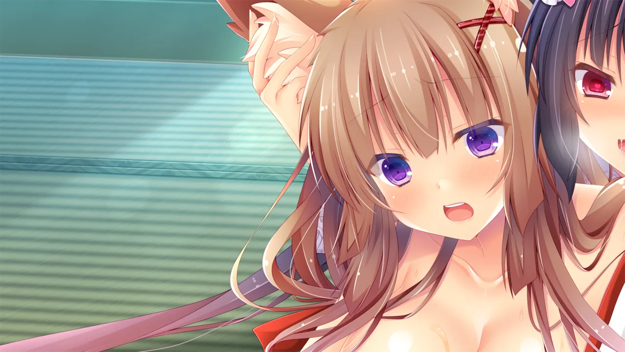 Kami-sama no Mimi wa Kemonomimi!? Mini Fandisk page 3 full