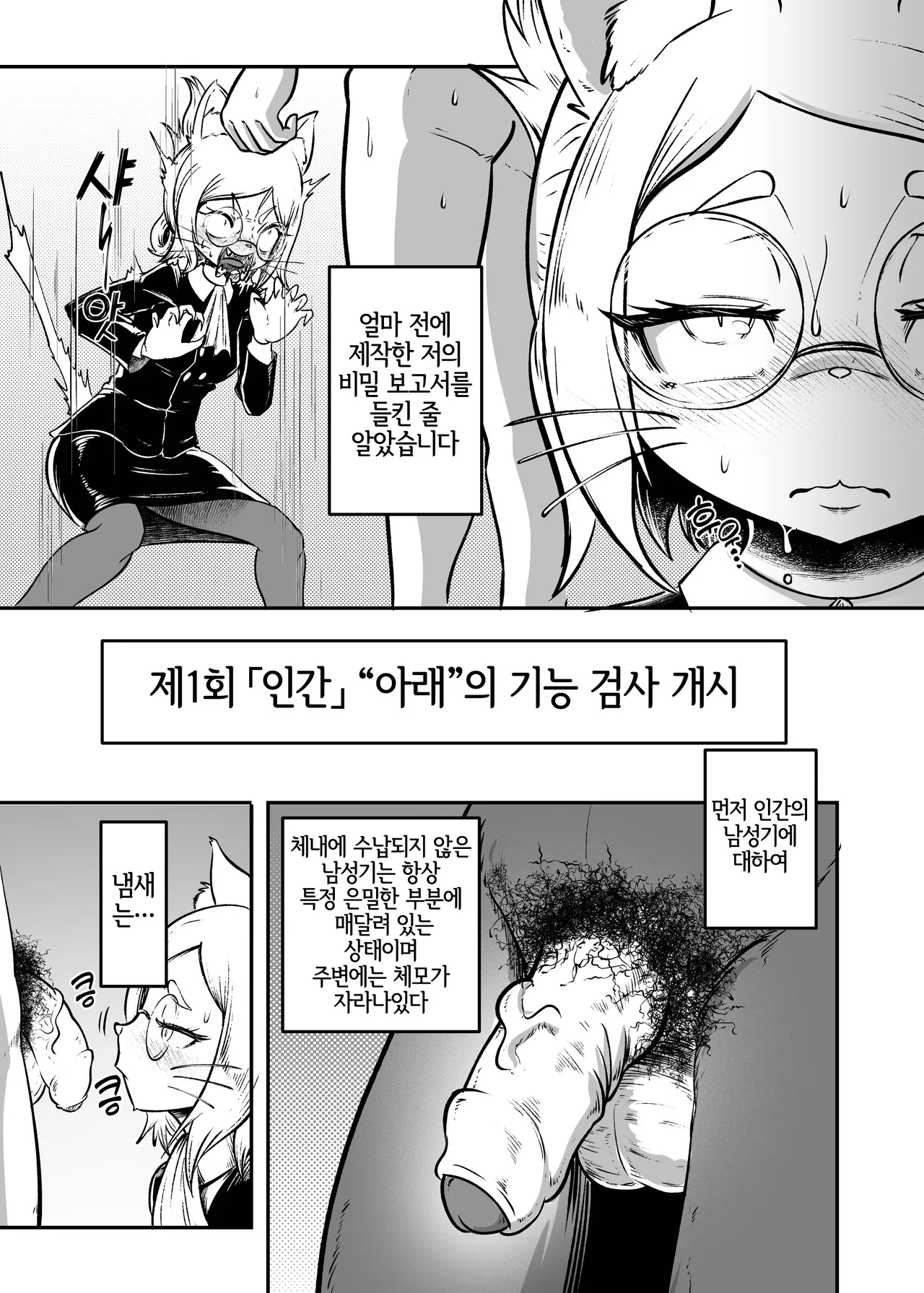 Tonelico Houdoukan no Ura Houkokusho | 토네리코 보도관의 비밀보고서 page 8 full