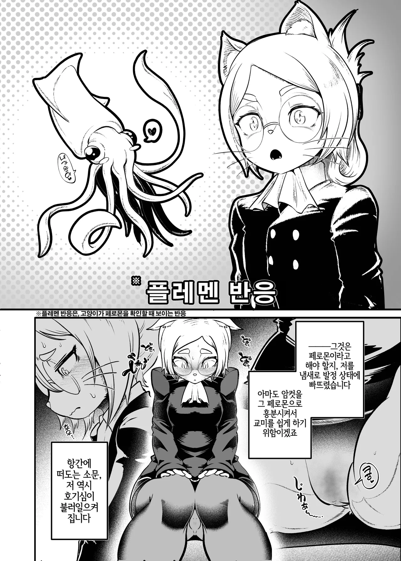 Tonelico Houdoukan no Ura Houkokusho | 토네리코 보도관의 비밀보고서 page 9 full