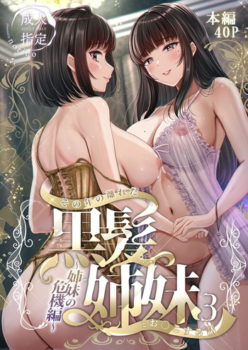 Sono Toshi no Hanareta Kurokami Shimai to Omeko suru Hanashi 3 〜Shimai no Kiki Hen〜 cover