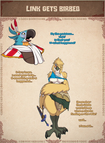 Link gets birbed cover