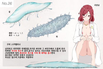 Mushi Research Report No.26 | 벌레 연구 보고서 No.26 cover