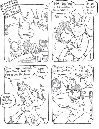 Noelle's Folly cover