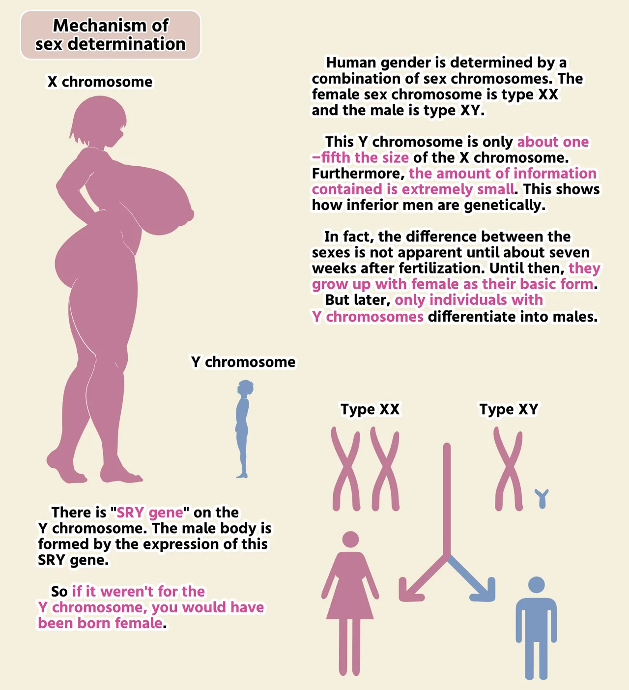 Sex Education By Futanari Maid page 10 full