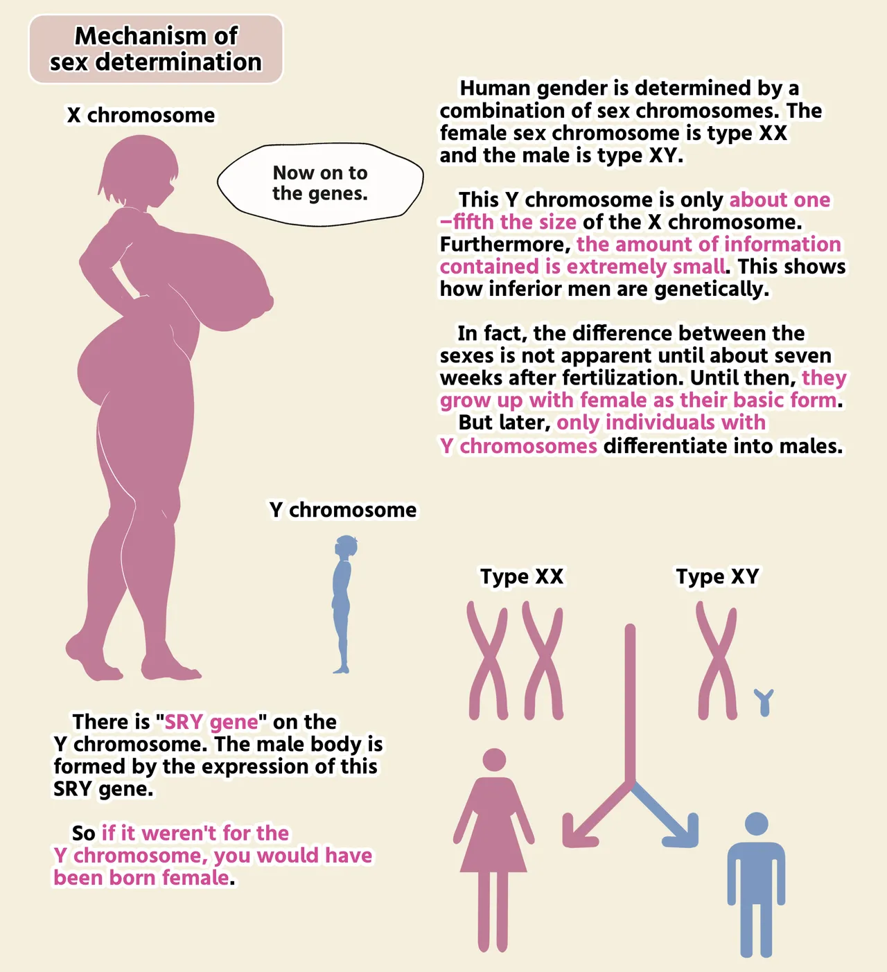 Sex Education By Futanari Maid page 4 full