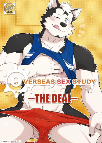 Overseas Sex Study： The Deal cover