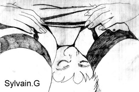 EROTIC FACE SITTING DRAWING 2 page 3 full