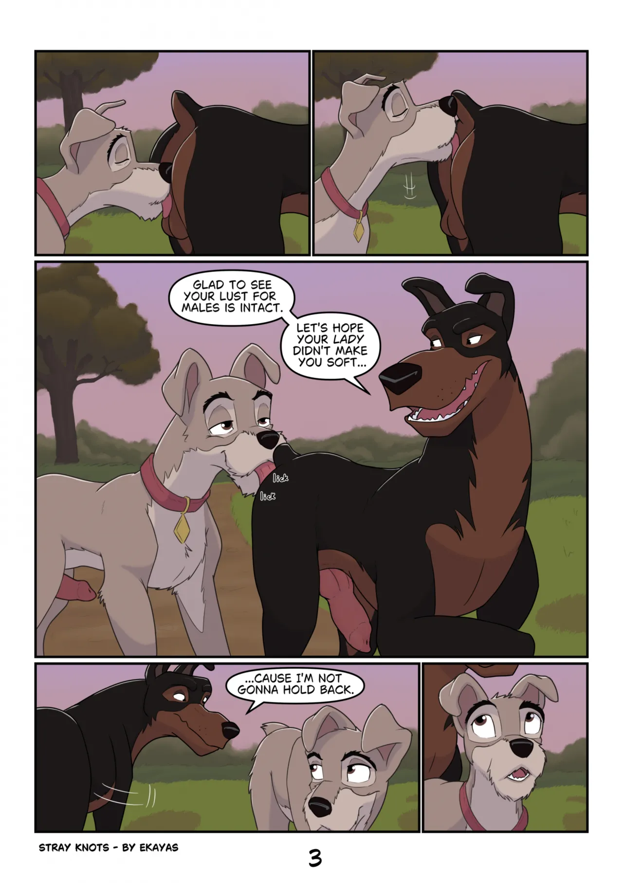 Stray Knots page 3 full