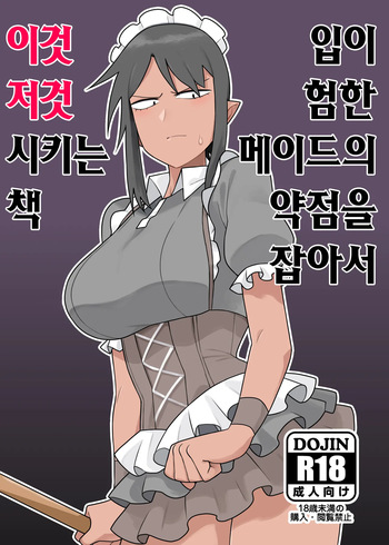 Kuchi Warui-san no Yowami o Nigitte Iroiro Sasete Morau Hon | 입이 험한 메이드의 약점을 잡아서 이것저것 시키는 책 cover