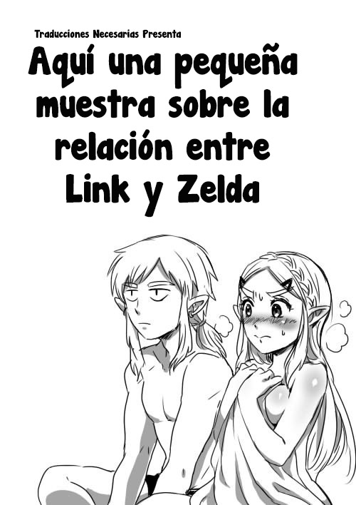 Link to Zelda no Shoshinsha ni Yasashii Sex Nyuumon | Aquí una Pequeña Lección sobre la Relación de Link y Zelda page 1 full