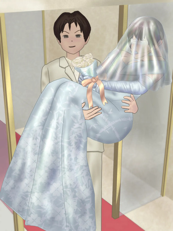 Dress restraint 7 cover