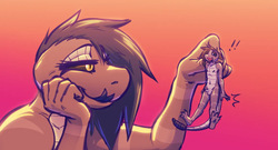 Size Difference