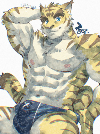 41raco Morenatsu Art Collection cover