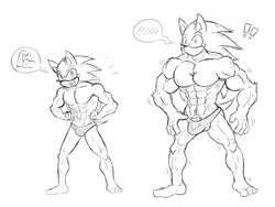 Beef'd Up Sonic