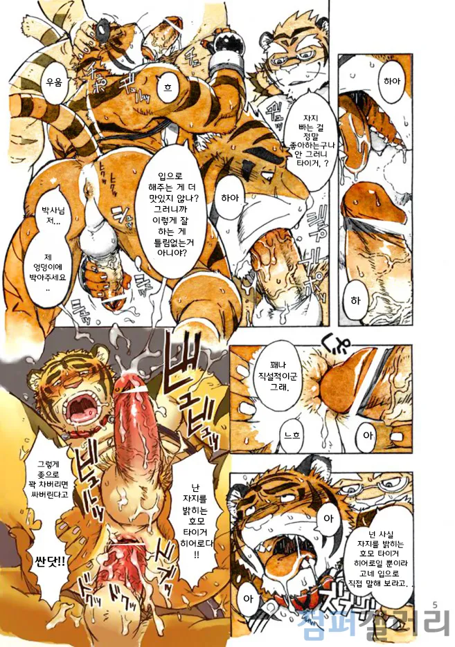 Choujuu Gasshin Build Tiger 11 | 초수합신 빌드 타이거 11 page 5 full