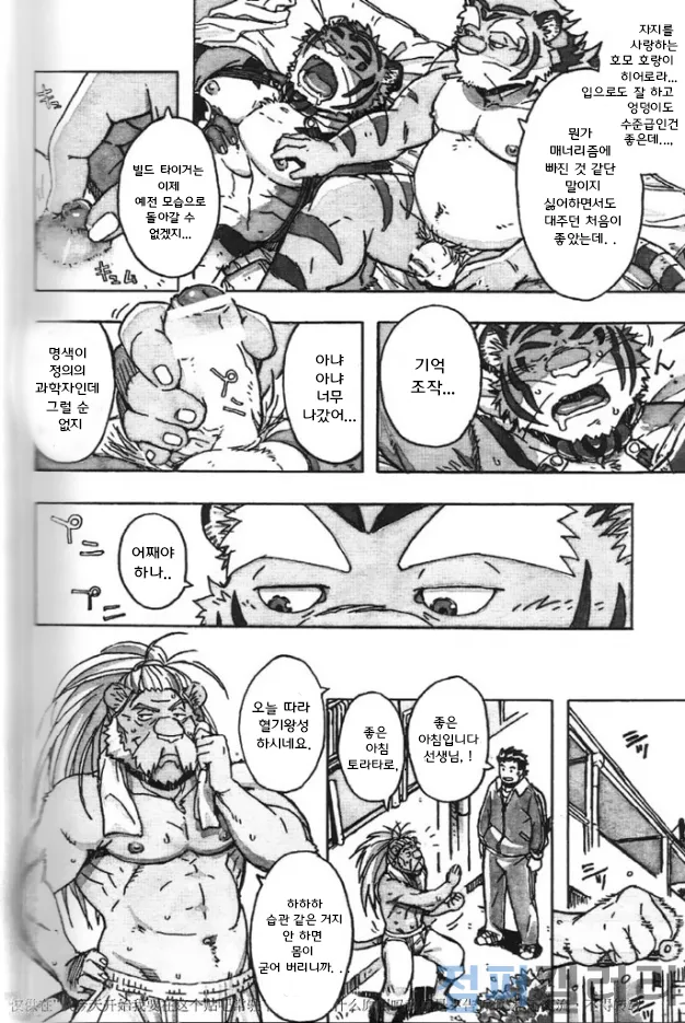 Choujuu Gasshin Build Tiger 11 | 초수합신 빌드 타이거 11 page 6 full