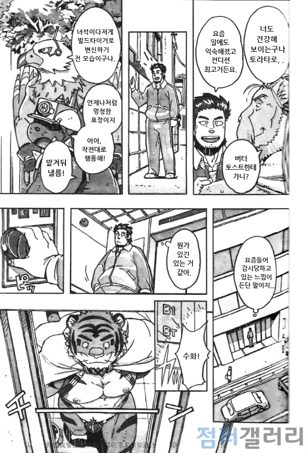 Choujuu Gasshin Build Tiger 11 | 초수합신 빌드 타이거 11 page 7 full