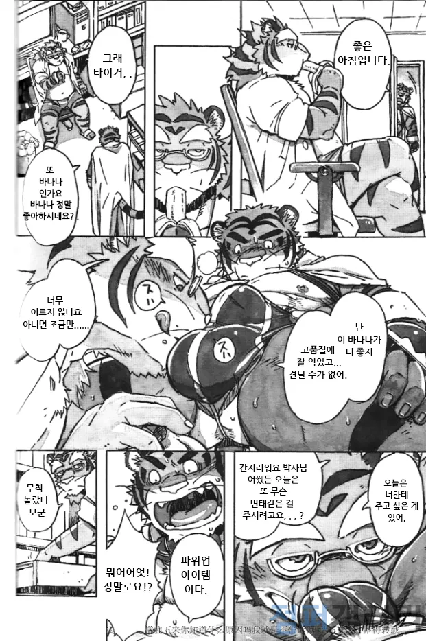 Choujuu Gasshin Build Tiger 11 | 초수합신 빌드 타이거 11 page 8 full