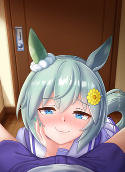 Umamusume collection