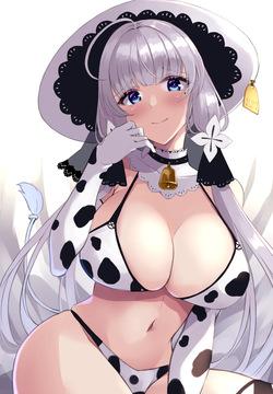 イラストリアス14